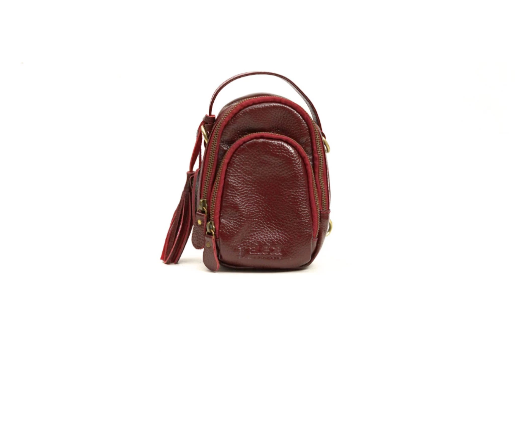 Dina Mini Leather Crossbody