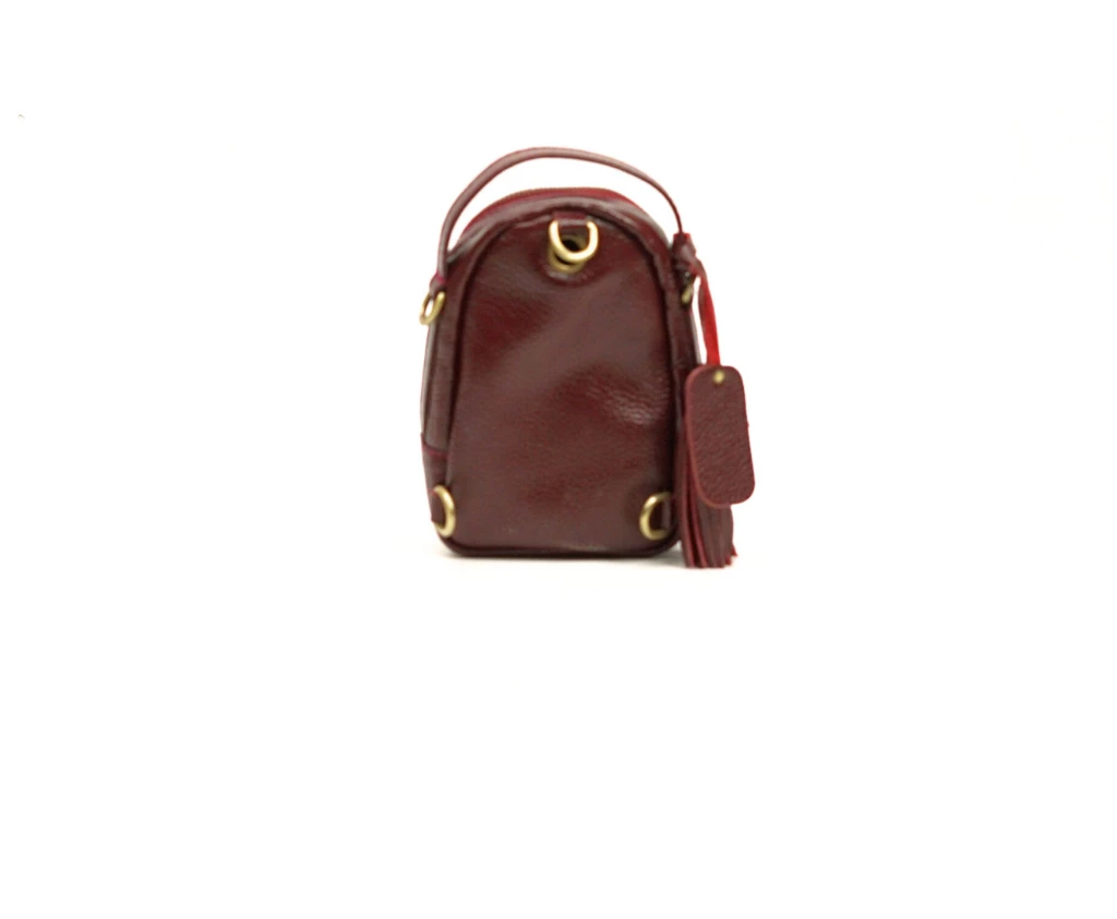 Dina Mini Leather Crossbody