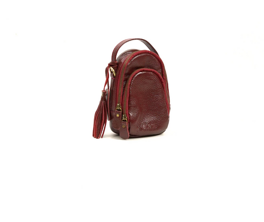 Dina Mini Leather Crossbody