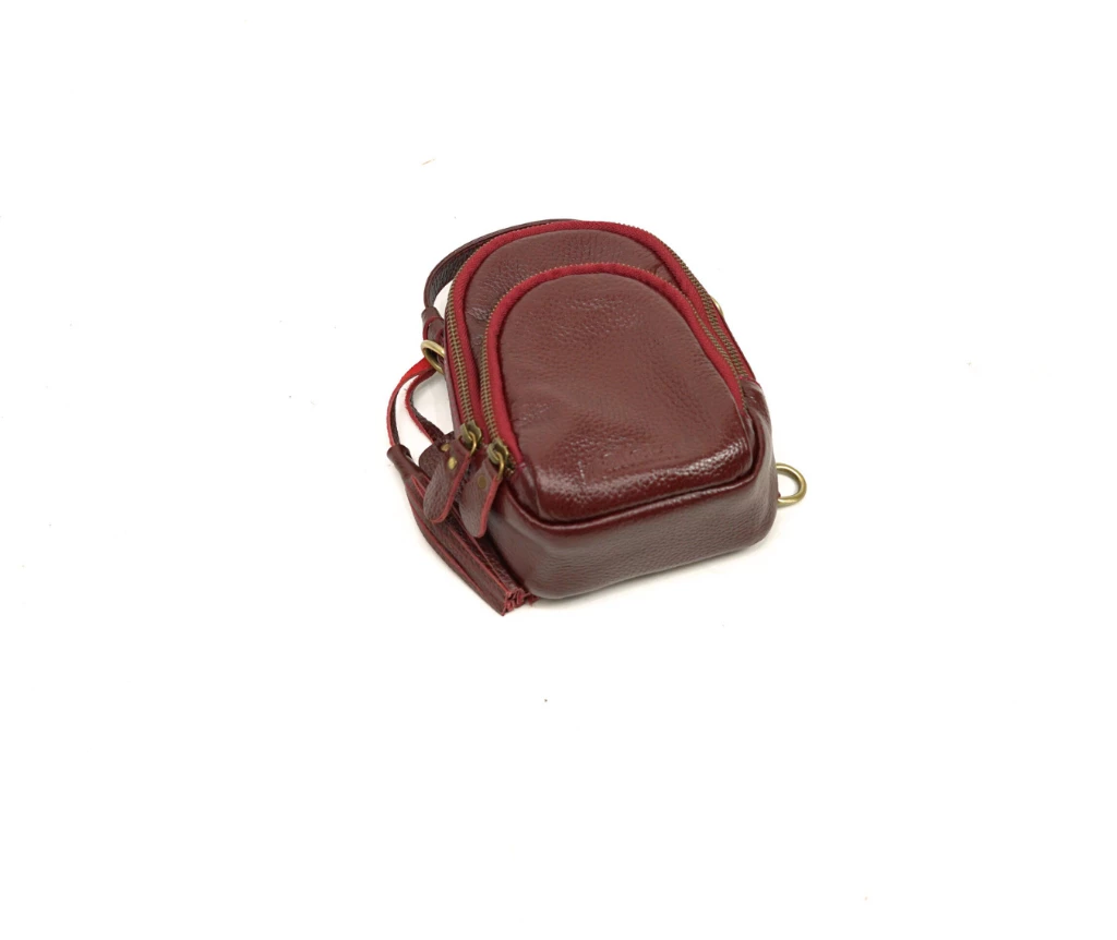 Dina Mini Leather Crossbody