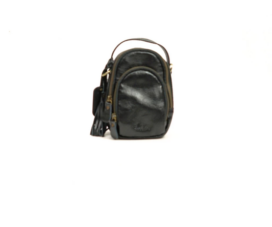 Dina Mini Leather Crossbody